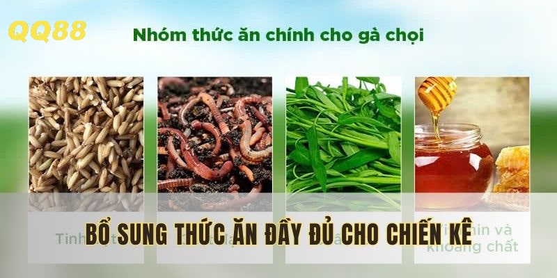 Nhằm đảm bảo sức khỏe ổn định, đủ dinh dưỡng